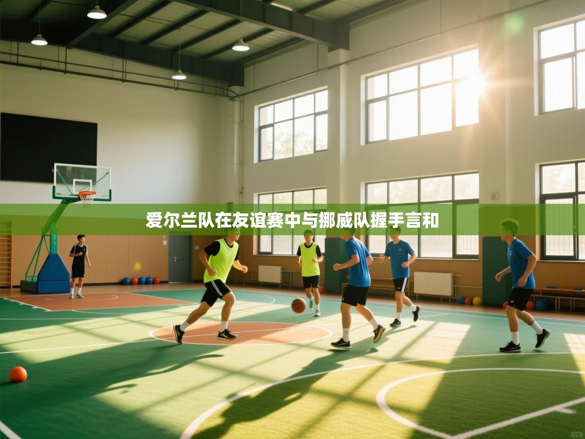 爱尔兰队在友谊赛中与挪威队握手言和 第2张