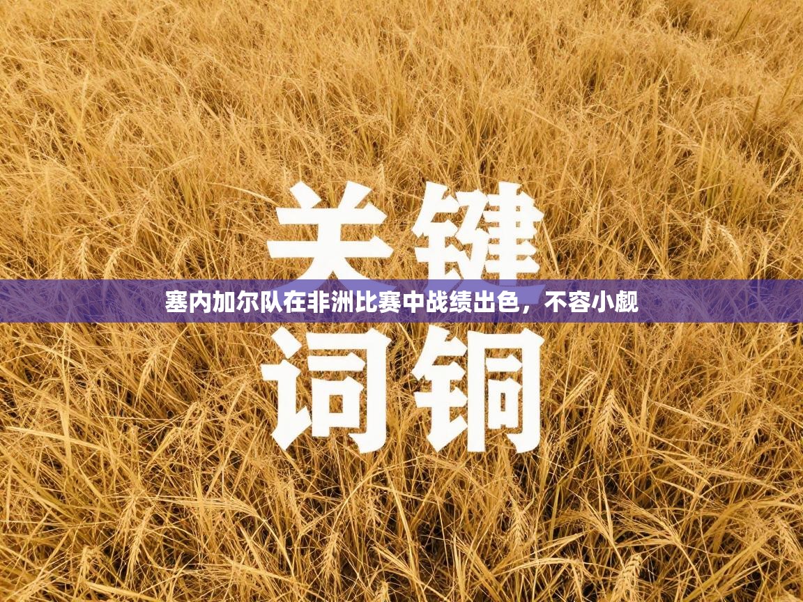 塞内加尔队在非洲比赛中战绩出色，不容小觑