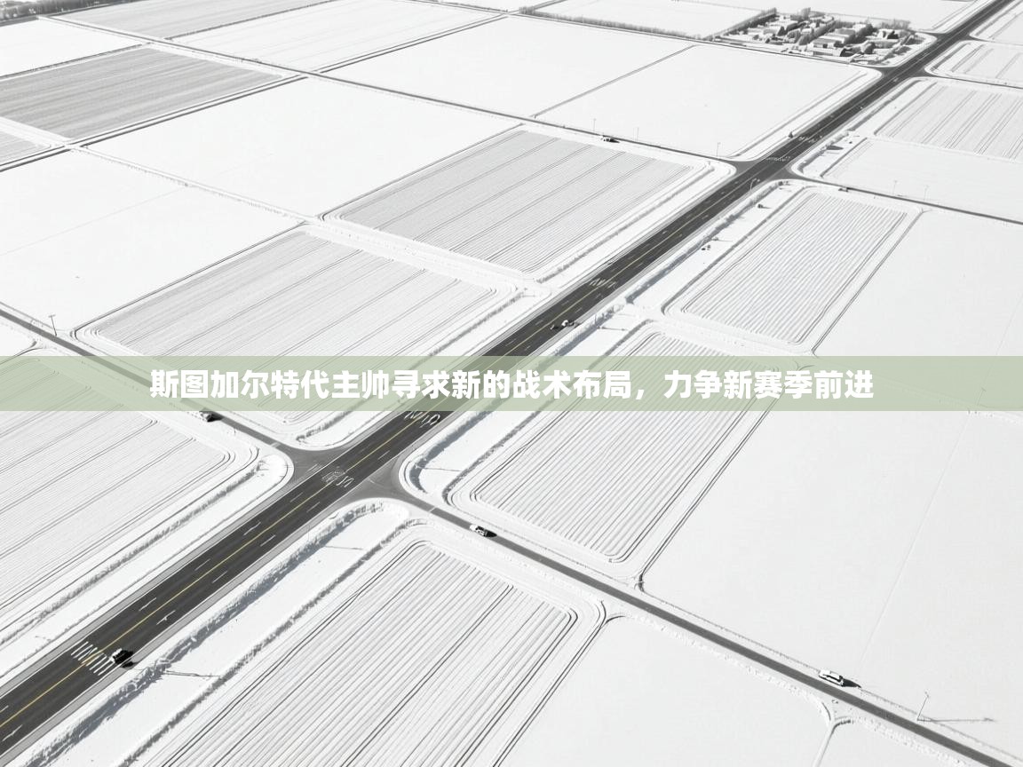 斯图加尔特代主帅寻求新的战术布局,力争新赛季前进 第1张