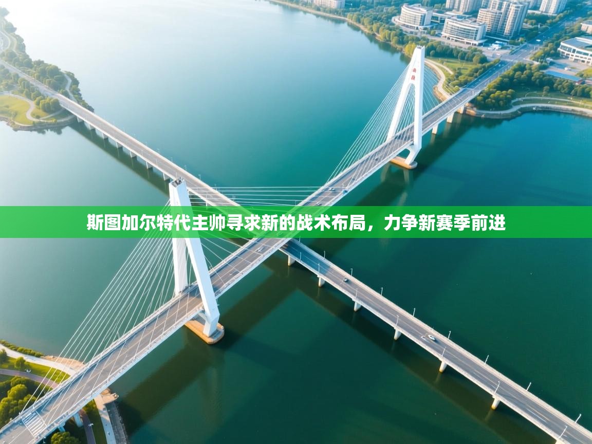 斯图加尔特代主帅寻求新的战术布局,力争新赛季前进 第2张