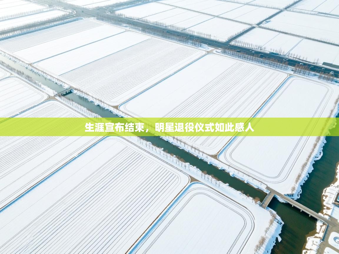 生涯宣布结束，明星退役仪式如此感人  第2张